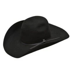 Ariat Ariat Wool Hat A7520401